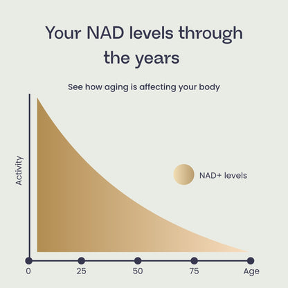 NAD+ 4u Pen Starter Kit (1000mg)