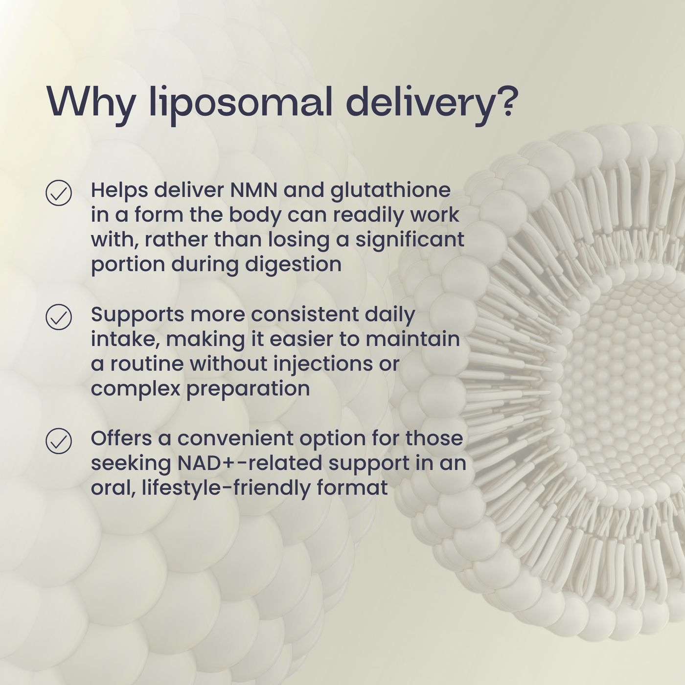 Liposomal NMN + Glutathione Supplement Liposomal NMN + Glutathione Supplement